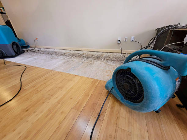 Reliable Basement Flood Cleanup contractor in Middle Island, NY by Hirex Water Damage