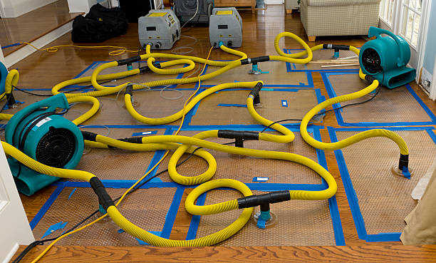 Professional Basement Flood Cleanup technician working in Middle Island, NY